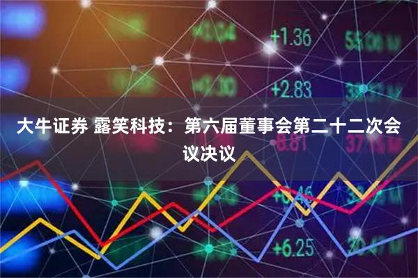 大牛证券 露笑科技：第六届董事会第二十二次会议决议