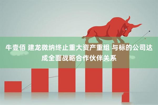 牛壹佰 建龙微纳终止重大资产重组 与标的公司达成全面战略合作伙伴关系