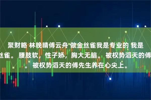 聚财略 林晚晴傅云舟 做金丝雀我是专业的 我是个尽职尽责的金丝雀。 腰肢软，性子娇，胸大无脑。 被权势滔天的傅先生养在心尖上。